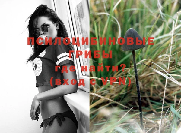 марихуана Абаза