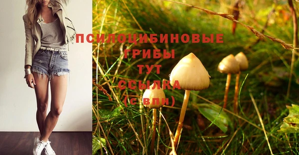 крисы Алексин