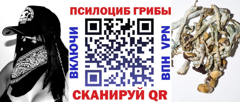 Галлюциногенные грибы Psilocybine cubensis  кракен зеркало  Лодейное Поле  где купить  