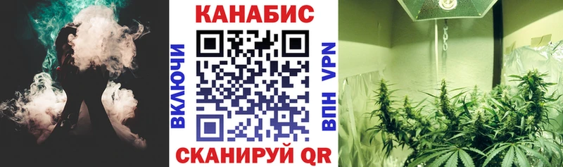 Каннабис гибрид  Лодейное Поле 